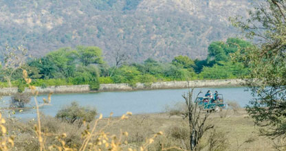 Diverse Landscape and Flora