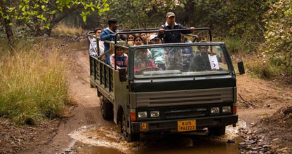 Safari Experience